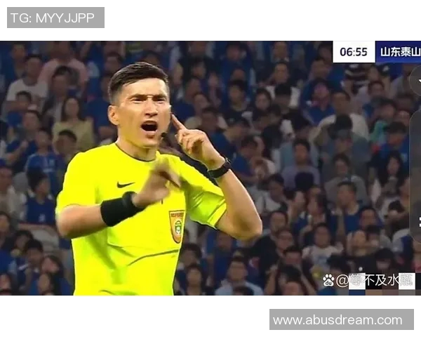 裁判误判致胜负反转，国际足联介入调查